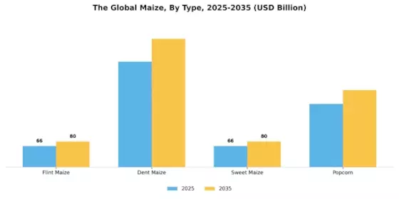 Maize Market Segment Image 3