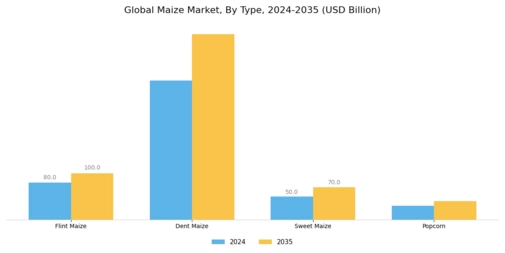 Maize Market Segment Image 1
