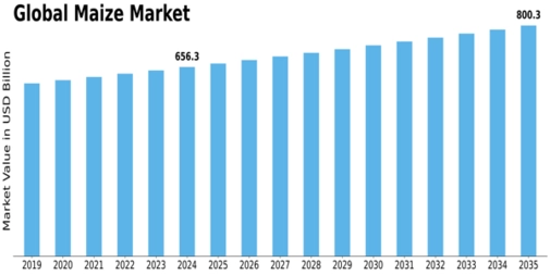 Maize Market Size