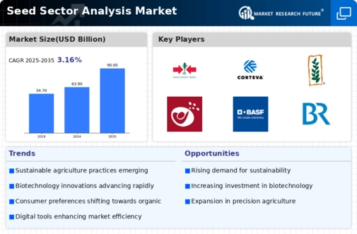 Seed Sector Analysis Market Infographic