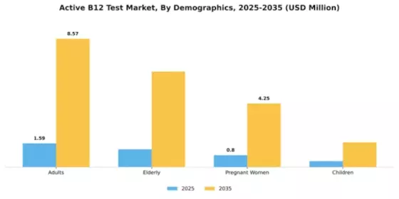 Active B12 Test Market Segment Image 1