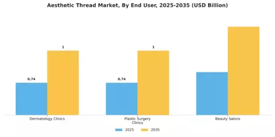 Aesthetic Thread Market Segment Image 2