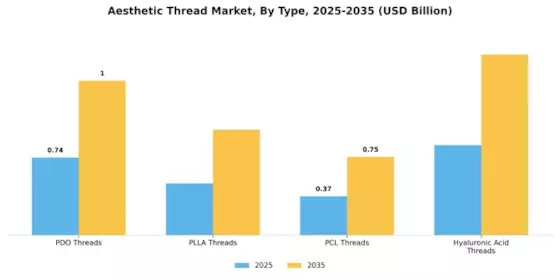 Aesthetic Thread Market Segment Image 3