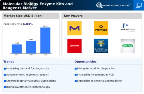 Molecular Biology Enzyme Kits Reagents Market Infographic