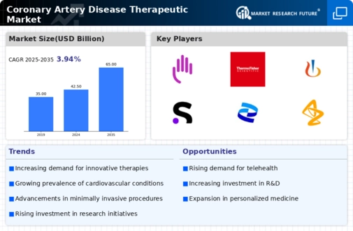 Coronary Artery Disease Therapeutic Market Infographic