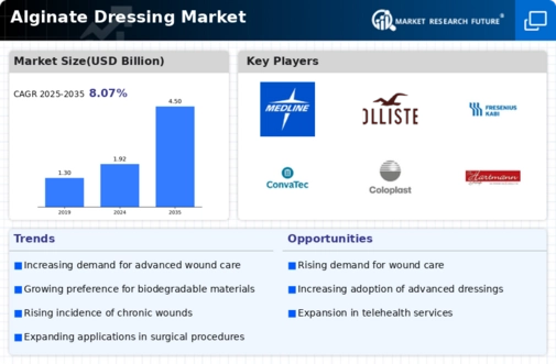 Alginate Dressing Market Infographic