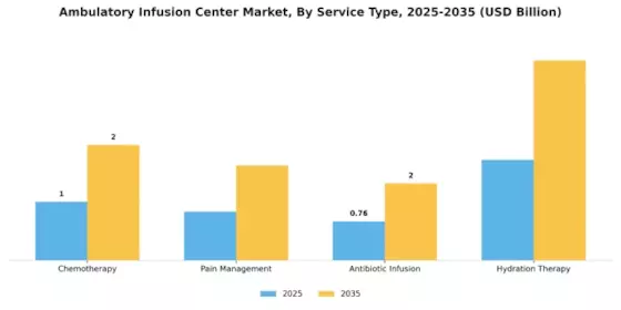 Ambulatory Infusion Center Market Segment Image 3
