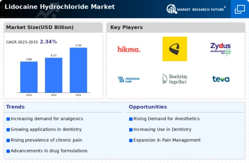 Lidocaine Hydrochloride Market Infographic