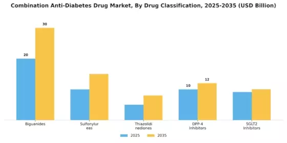 Combination Anti Diabetes Drug Market Segment Image 1