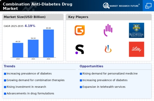 Combination Anti Diabetes Drug Market Infographic