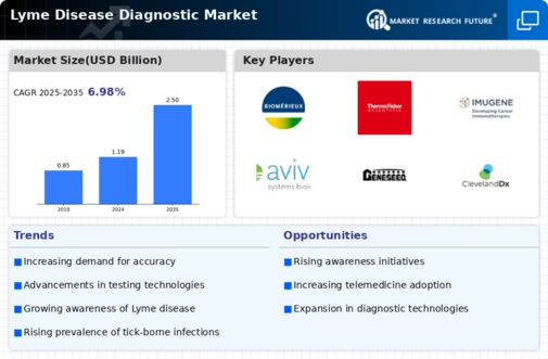 Lyme Disease Diagnostic Market Infographic