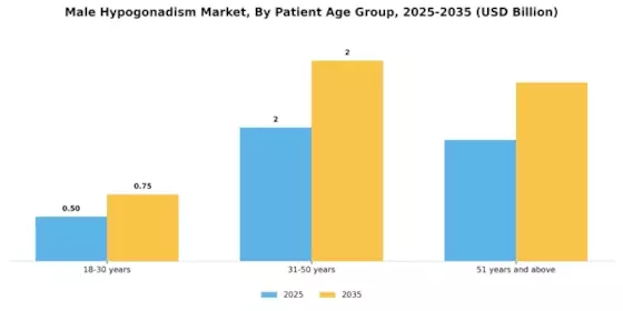 Male Hypogonadism Market Segment Image 1
