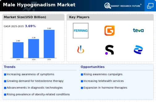 Male Hypogonadism Market Infographic