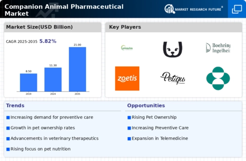 Companion Animal Pharmaceutical Market Infographic