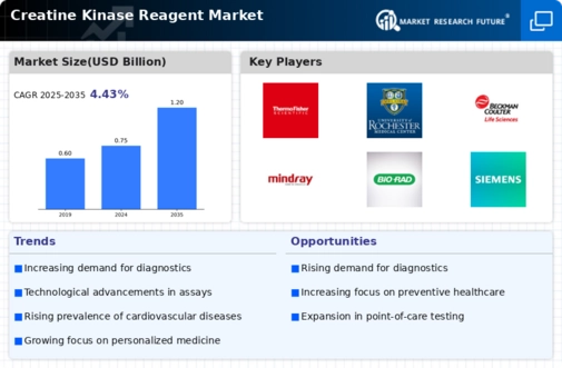 Creatine Kinase Reagent Market Infographic