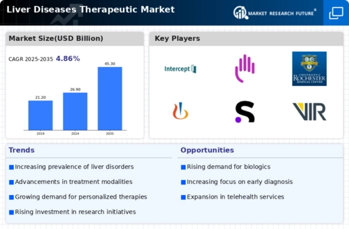 Liver Diseases Therapeutic Market Infographic