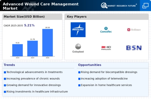 Advanced Wound Care Management Market Infographic