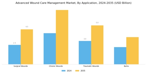 Advanced Wound Care Management Market Segment Image 1
