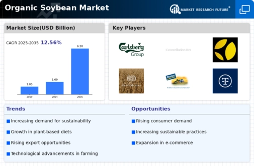 Organic Soybean Market Infographic