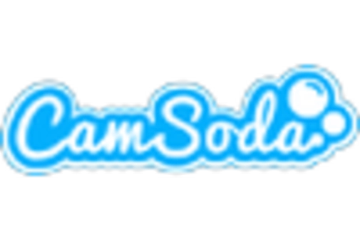 Construction Machinery Tires Market key player