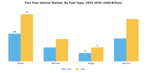 Flex Fuel Vehicle Market Segment Image 1