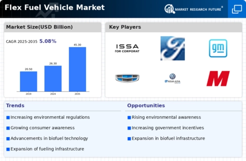 Flex Fuel Vehicle Market Infographic