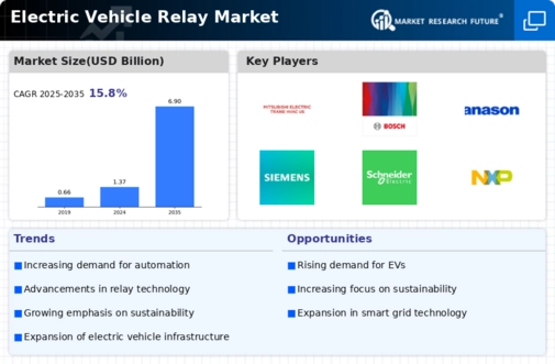 Electric Vehicle Relay Market Infographic