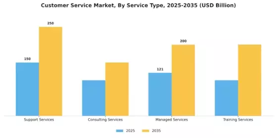 Customer Service Market Segment Image 3