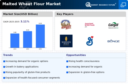 Malted Wheat Flour Market Infographic