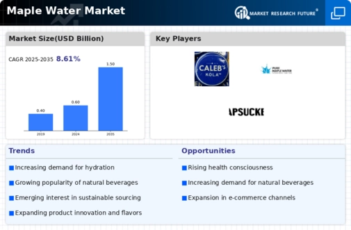 Maple Water Market Infographic
