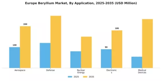 Ukraine Beryllium Market Segment Image 0