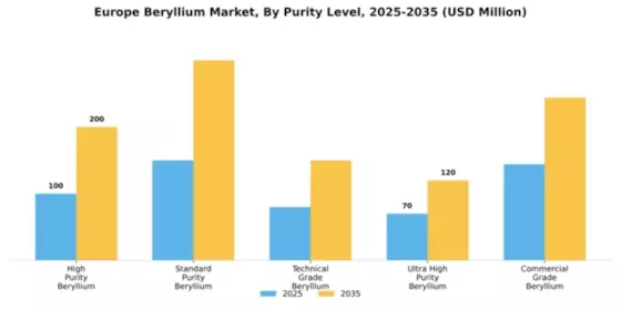 Ukraine Beryllium Market Segment Image 3