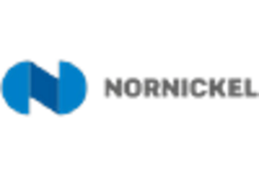 Ukraine Nickel Market  key player