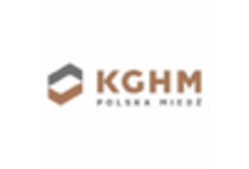 Ukraine Nickel Market  key player