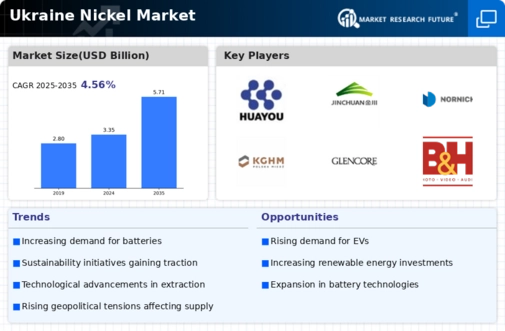 Ukraine Nickel Market  Infographic