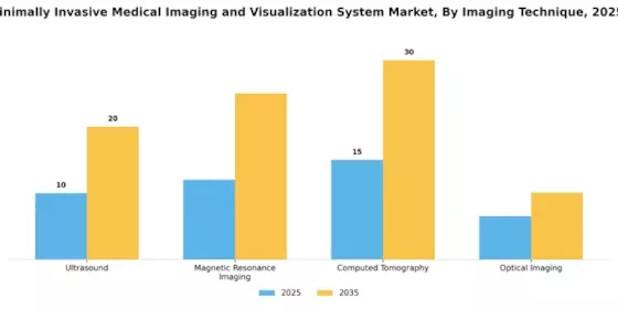 Non Invasive Minimally Invasive Medical Imaging Visualization System Market Segment Image 2
