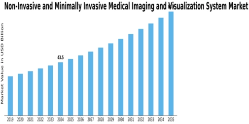 Non Invasive Minimally Invasive Medical Imaging Visualization System Market Size