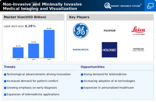 Non Invasive Minimally Invasive Medical Imaging Visualization System Market Infographic