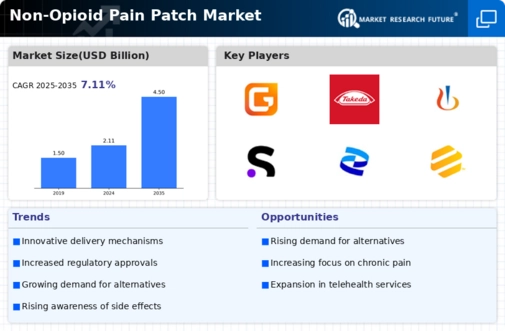 Non Opioid Pain Patch Market Infographic