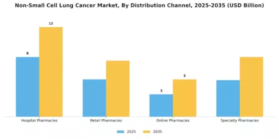 Non Small Cell Lung Cancer Market Segment Image 0
