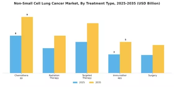 Non Small Cell Lung Cancer Market Segment Image 2