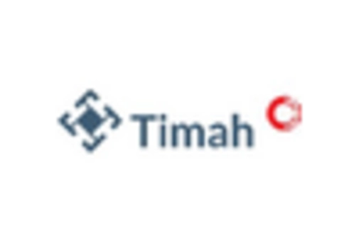 Ukraine Tin Market key player