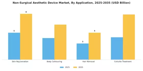 Non Surgical Aesthetic Device Market Segment Image 0