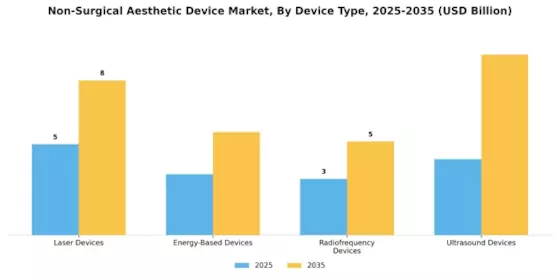 Non Surgical Aesthetic Device Market Segment Image 1