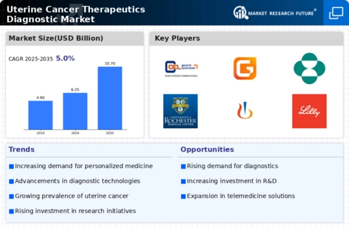Uterine Cancer Therapeutics Diagnostic Market Infographic