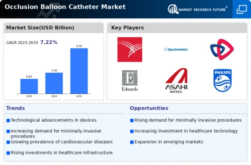Occlusion Balloon Catheter Market Infographic