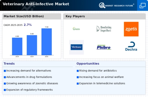 Veterinary Anti Infective Market Infographic