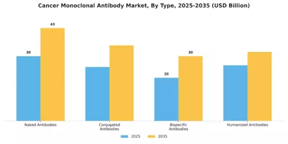 Cancer Monoclonal Antibody Market Segment Image 3