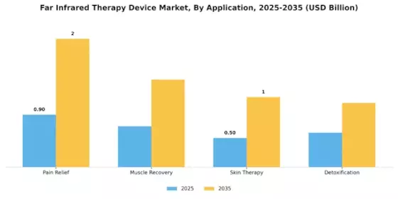 Far Infrared Therapy Device Market Segment Image 0
