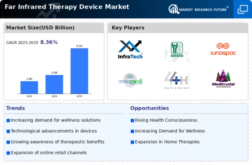 Far Infrared Therapy Device Market Infographic